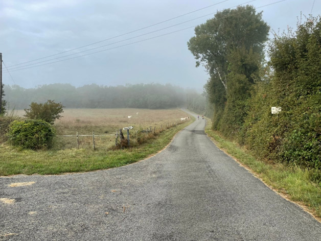 pilgrims up the road