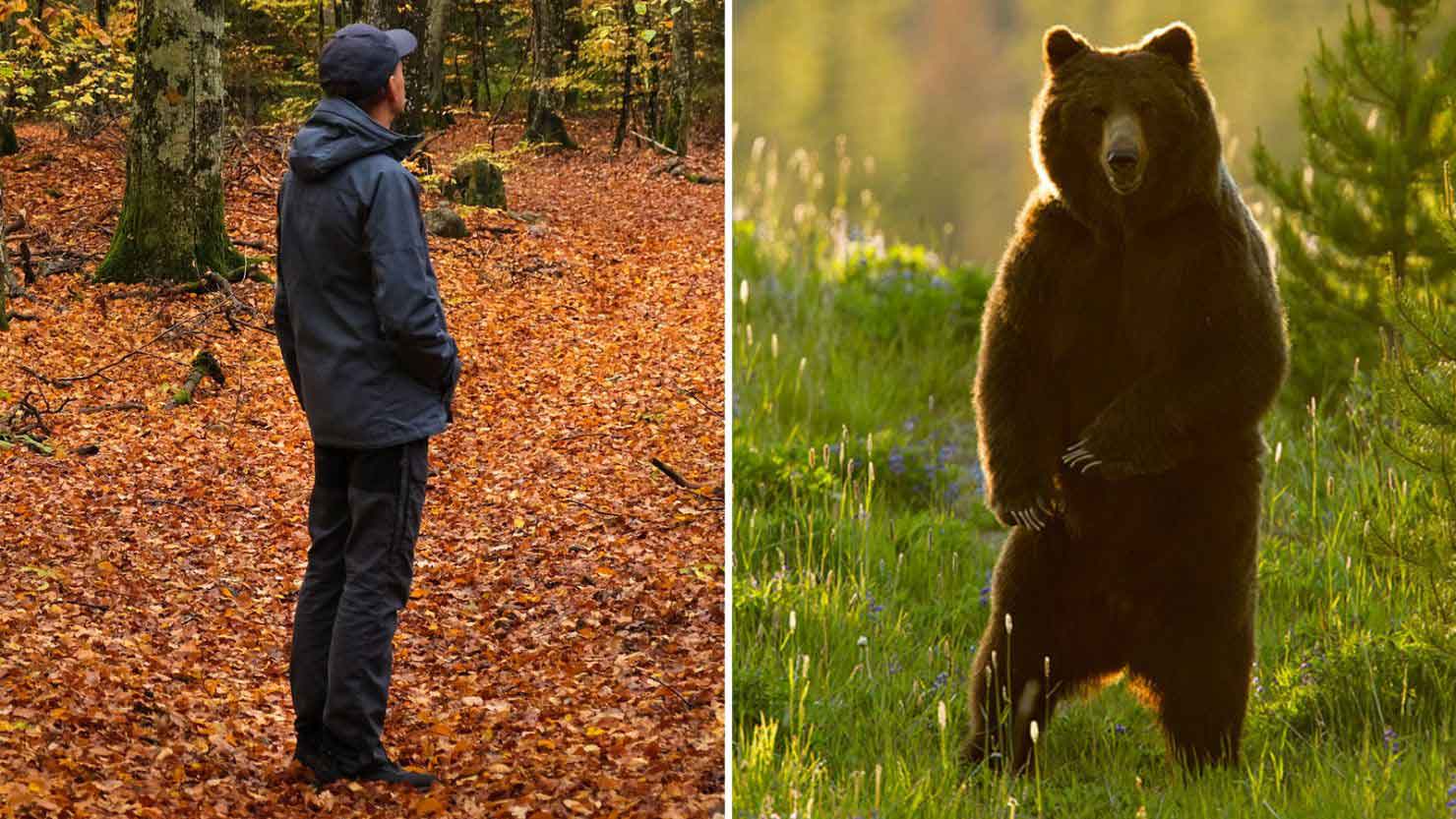 man of bear