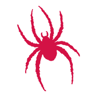 Richmond Spiders