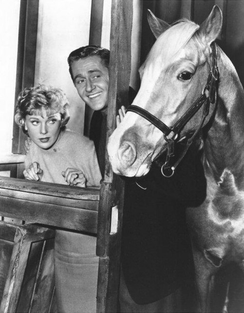 Mister Ed